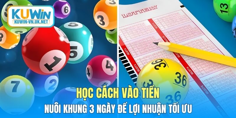 Học cách vào tiền nuôi khung 3 ngày để lợi nhuận tối ưu
